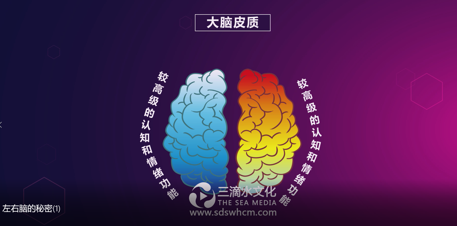 mg動畫的出現(xiàn)引領了新一輪營銷方式